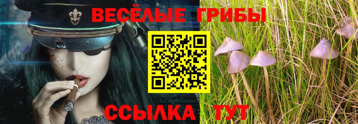 Галлюциногенные грибы Magic Shrooms  Галлюциногенные грибы прущие грибы  Вход с VPN  Звенигород 